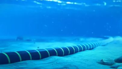 Denizaltı kabloları kesildi!