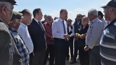 Elmada dolu zararı