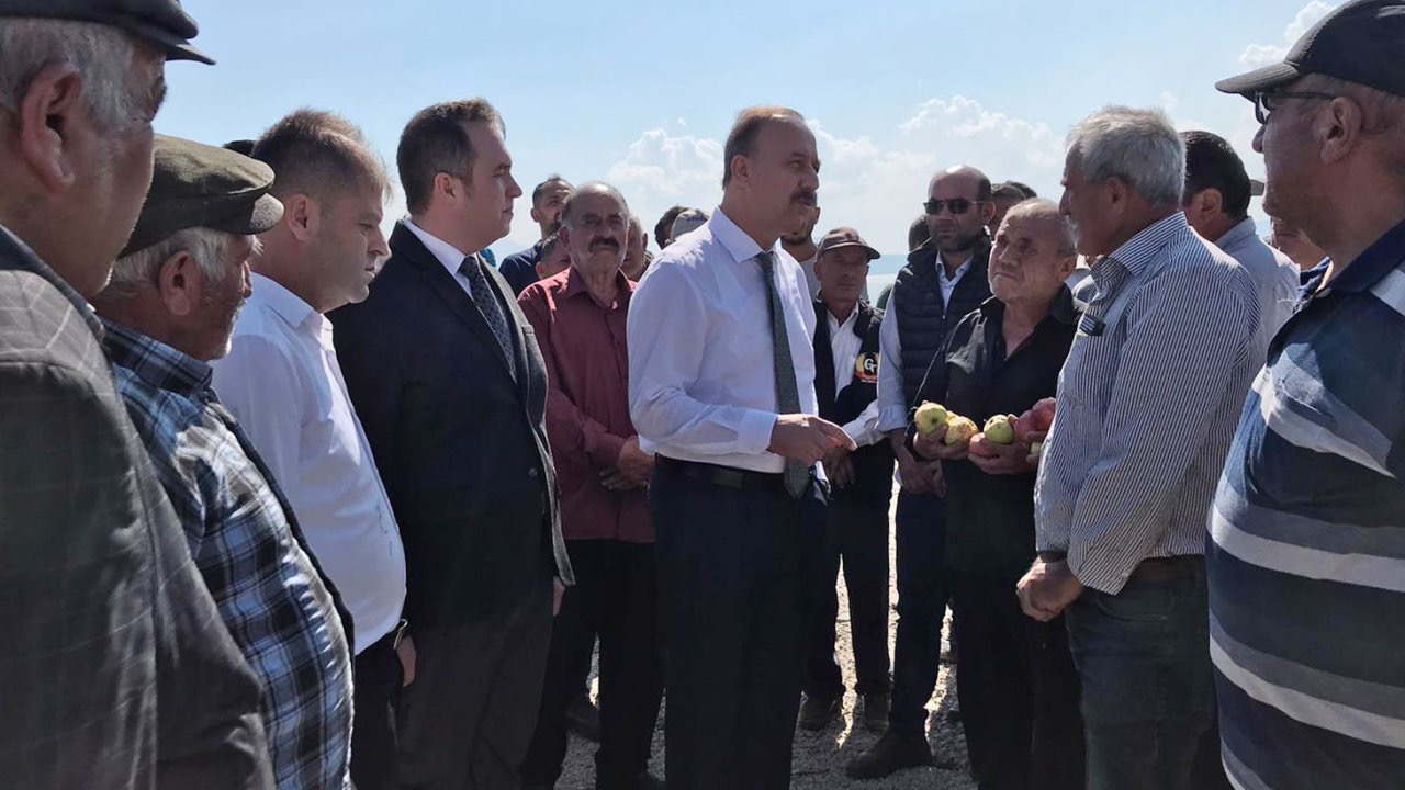 Elmada dolu zararı