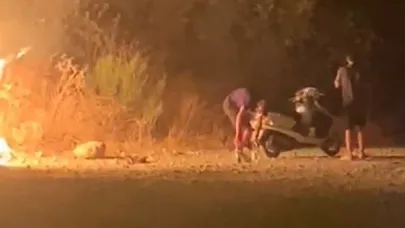 Dalaman’da ormanlık alanda kasten yangın çıkaran şüpheliler aranıyor