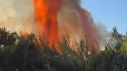 Alanya’da çalılık alanda çıkan yangında 2 sera ve 2 dönüm arazi zarar gördü