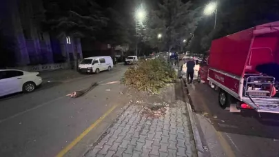 Takla atan otomobilden çıkartılan sürücünün ilk sözü: "Abi bir sigara verin de içelim"