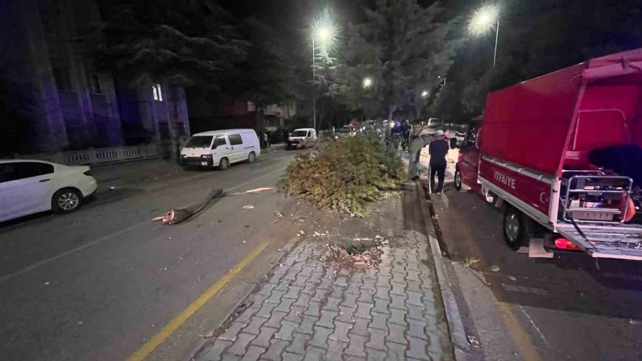 Takla atan otomobilden çıkartılan sürücünün ilk sözü: "Abi bir sigara verin de içelim"