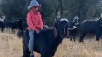 Keçiye binip köy yaşamını anlattı