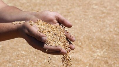 Batı Akdeniz'de hububat sektörünün ihracatı yüzde 136,65 arttı