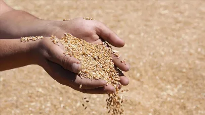 Batı Akdeniz'de hububat sektörünün ihracatı yüzde 136,65 arttı