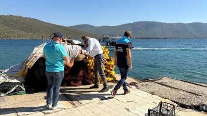 Güllük'te kaçak avcılığa denetim