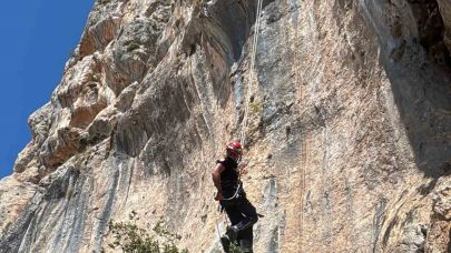 Uçurumda mahsur kalan keçi, itfaiye ekiplerince kurtarıldı
