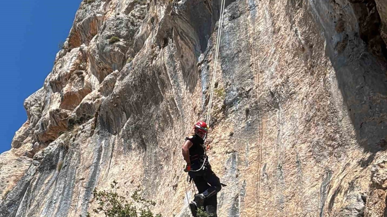 Uçurumda mahsur kalan keçi, itfaiye ekiplerince kurtarıldı