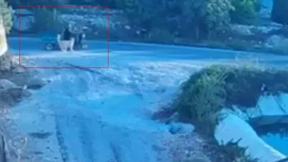 Köpek saldırınca motor devrildi
