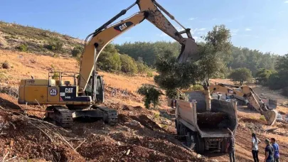 Milas’ta zeytin ağaçları taşınarak yaşatılıyor