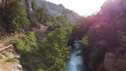 Torosların kalbinde keşfedilmeyi bekleyen doğal vaha! Yaban keçisinden su samuruna sizi bekliyor