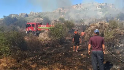 Serik'te makilik ve zeytinlik yangını