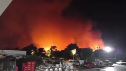 Antalya Aksu’da ormanlık alanda yangın