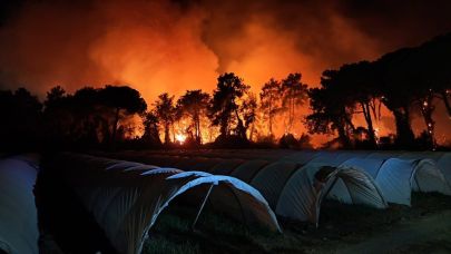 Antalya’da orman yangını; 2 otel tahliye edildi