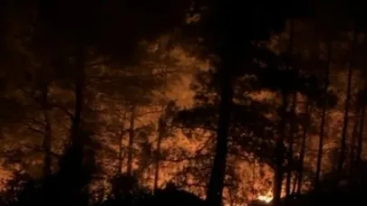 Alanya’da ormanlık alanda yangın