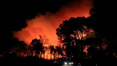 Antalya’da otellere yakın ormanlık alanda çıkan yangın kontrol altına alındı