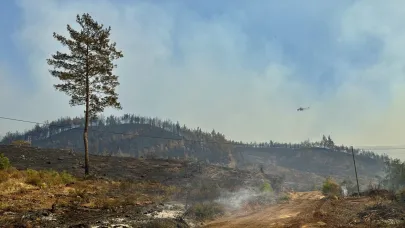 Muğla Köyceğiz'deki orman yangınında 2'nci gün