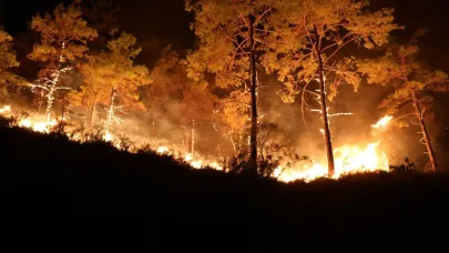 Alanya'daki orman yangınında 3'üncü gün