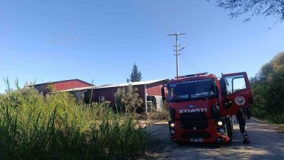 Kamışlık alanda başlayan yangın gıda toptancı deposuna sıçradı
