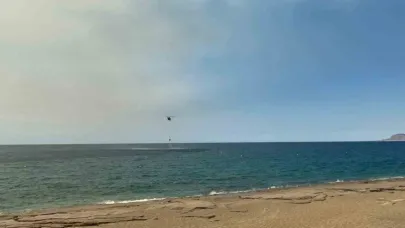Alanya’da ormanlık alanda yangın