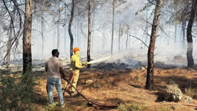 Antalya’da orman yangını, hızlı müdahale ile büyümeden kontrol altına alındı