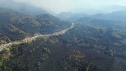 Muğla Köyceğiz’deki orman yangını 63 saatte kontrol altına alındı; 3 bin hektar alan zarar gördü