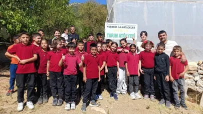 Öğrenciler seraya marul dikti