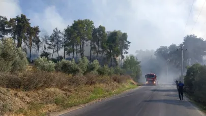 Antalya'da orman yangını