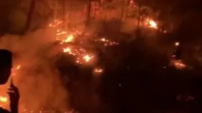 Gazipaşa’da ormanlık alanda yangın