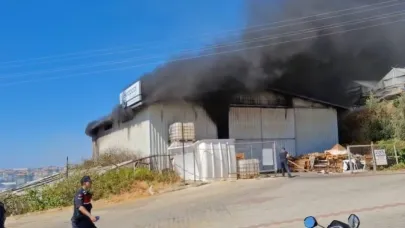 Alanya’da serada çıkan yangın depoya sıçradı