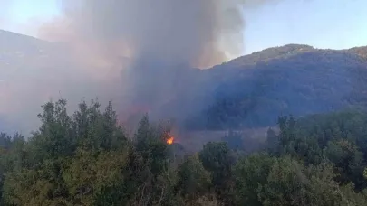 Burdur’da tarlada çıkan yangın ormanlık alana sıçradı