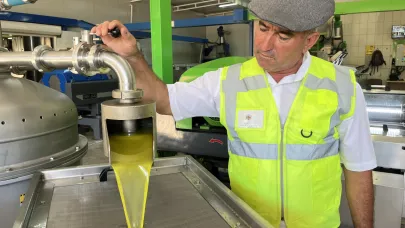 Antalya’da zeytin hasadı başladı! Kumluca’da ilk yağ sıkımı yapıldı