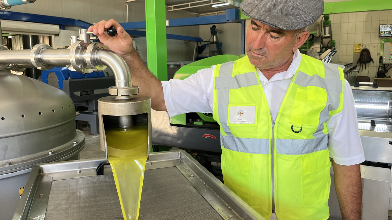 Antalya’da zeytin hasadı başladı! Kumluca’da ilk yağ sıkımı yapıldı