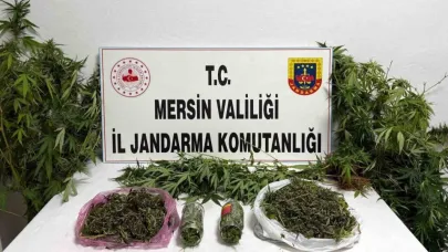 Uyuşturucuyu saksılara ekip evinin çevresine yerleştirmiş