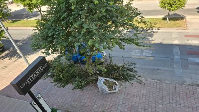 Muratpaşa’da kırılan ağaç dalları günlerdir toplanmıyor!