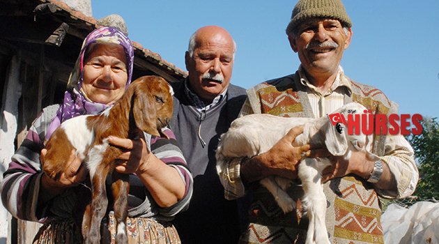 3 BACAKLI DOĞDU