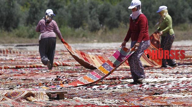 40 derecede  halı seriyorlar