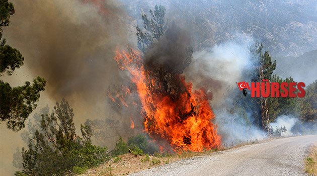 9 aylık bilanço