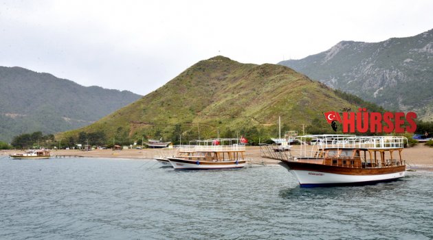 ADRASAN YENİDEN YEŞİLE DÖNDÜ