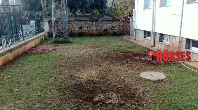 AĞAÇLARI KESİP KEZZAP DÖKTÜLER İDDİASI