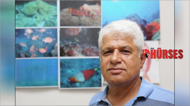 Akdeniz'i 'işgal eden'  balık türü 63'e çıktı