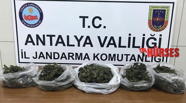Alanya’da 2 kilo  esrar ele geçirildi