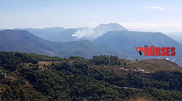 ALANYA'DA İKİ AYRI ORMAN YANGINI