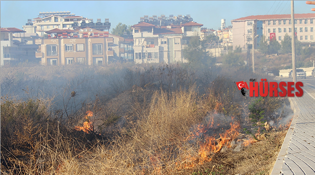 Antalya’da 2 noktada orman yangını