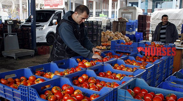 ANTALYA’DA ÇİFTÇİ RUS PAZARININ AÇILMASINI BEKLİYOR