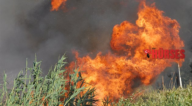 ANTALYA’DA KORKUTAN YANGIN