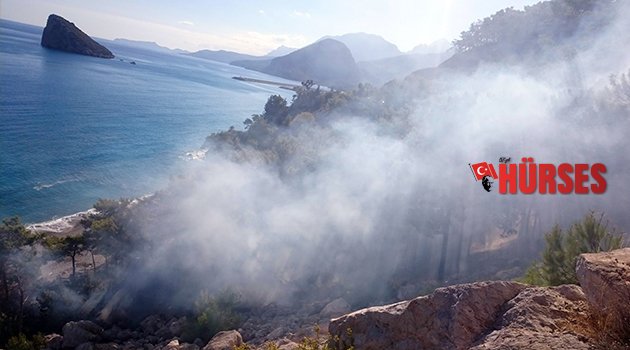 ANTALYA’DA ORMAN YANGINI