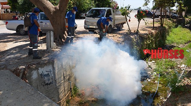 ANTALYA’DA SİNEKLE MÜCADELE