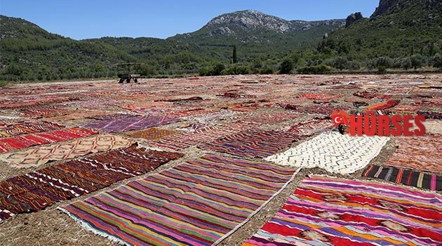 Antalya'da tarlalar halı açtı